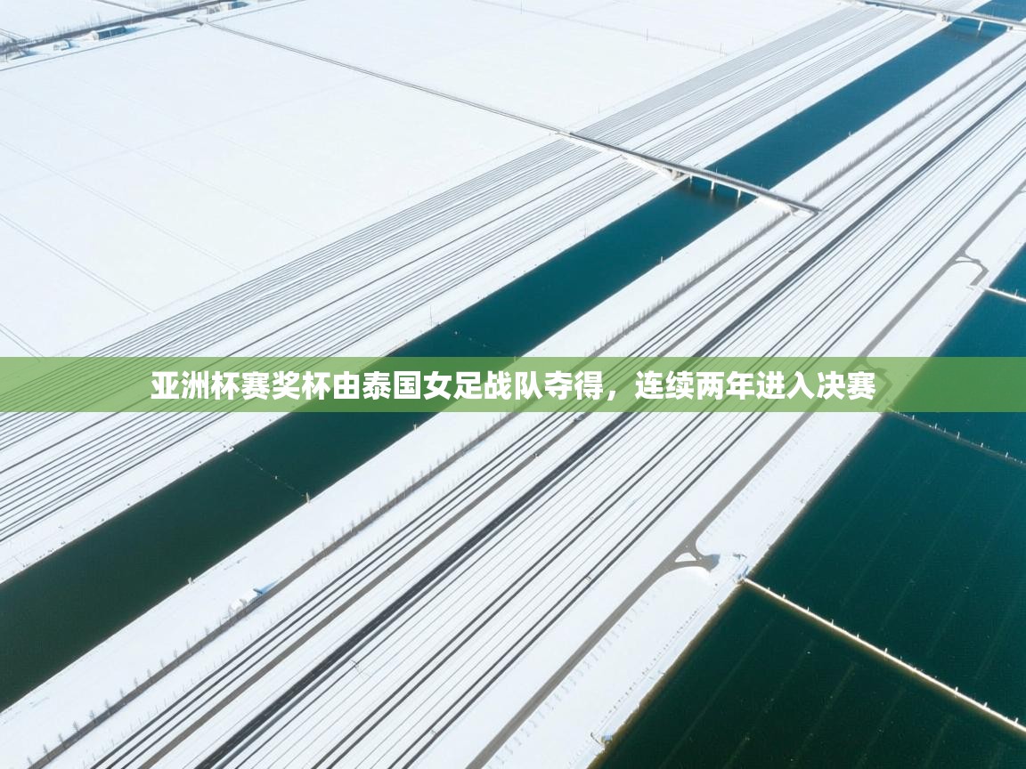 云开体育app官网登录入口-亚洲杯赛奖杯由泰国女足战队夺得,连续两年进入决赛  第2张