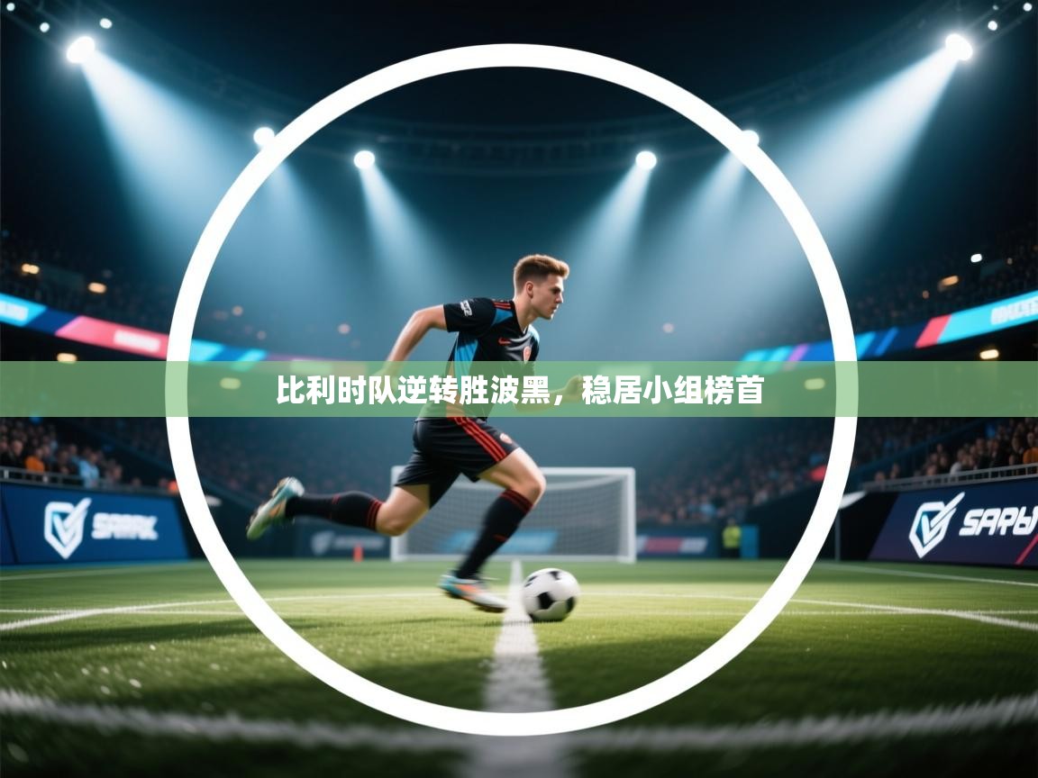 开云体育app下载入口-比利时队逆转胜波黑,稳居小组榜首 第1张