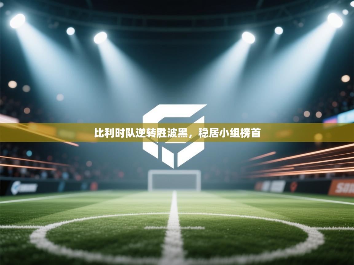 开云体育app下载入口-比利时队逆转胜波黑,稳居小组榜首 第4张