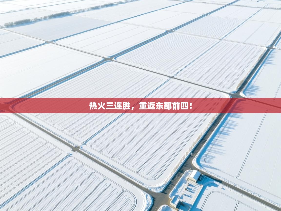 开云体育app下载入口-热火三连胜,重返东部前四! 第2张