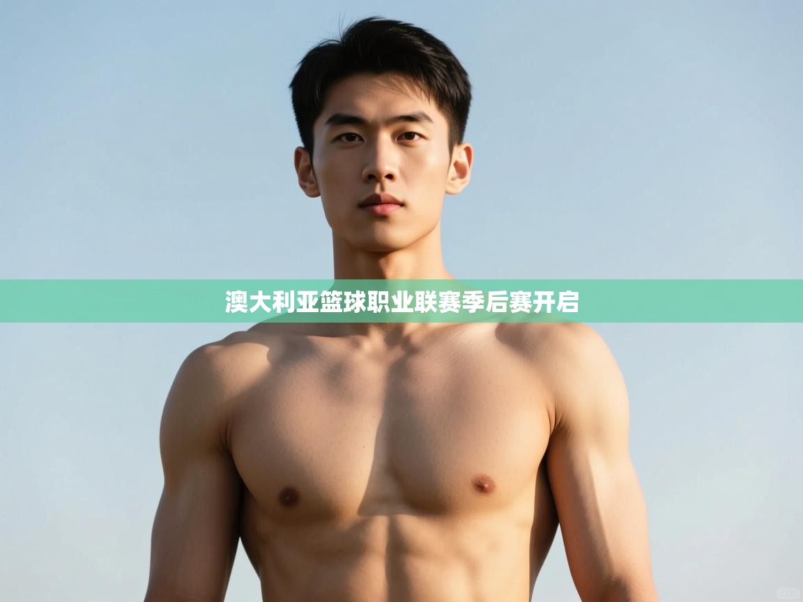 开云下载-澳大利亚篮球职业联赛季后赛开启 第3张