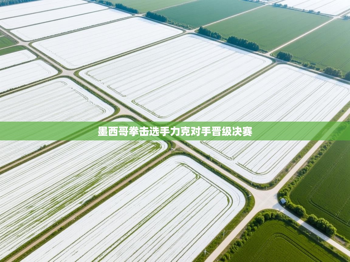 云开体育官方网站登录-墨西哥拳击选手力克对手晋级决赛