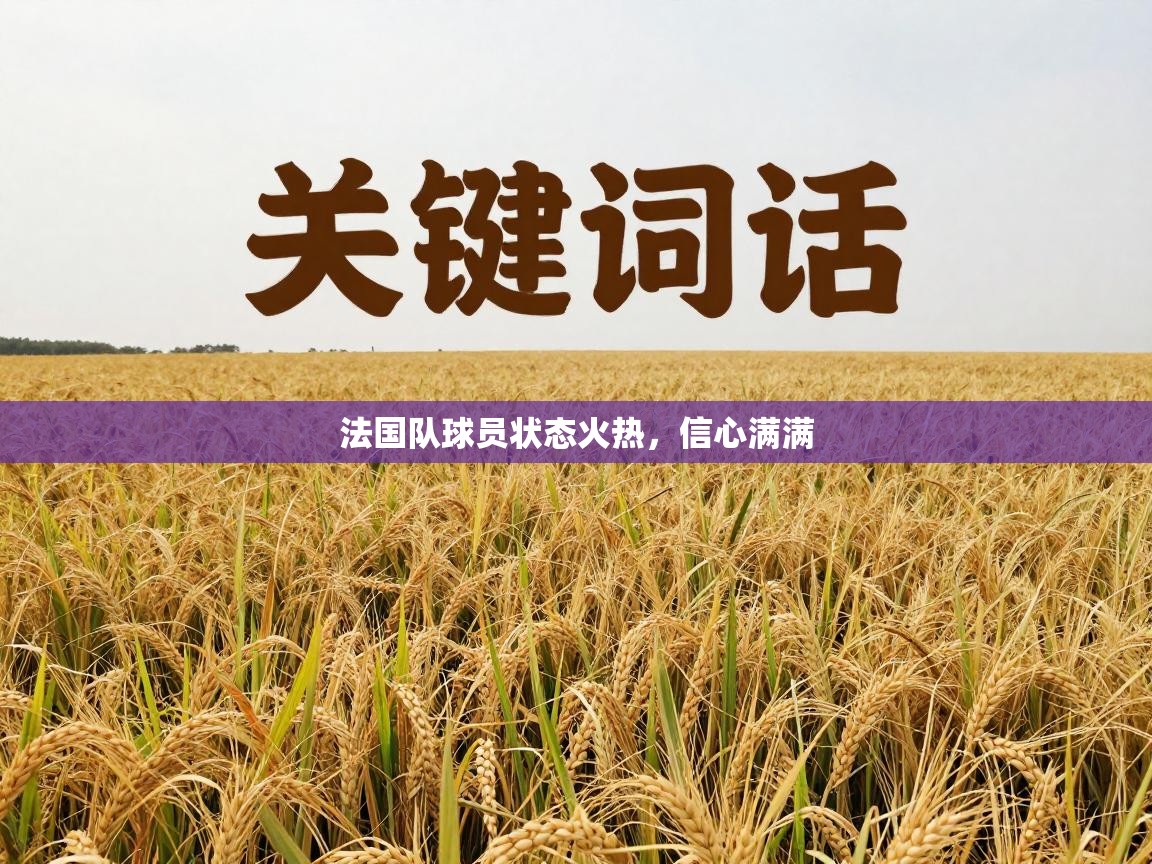 云开体育官网登录入口手机版-法国队球员状态火热，信心满满  第2张