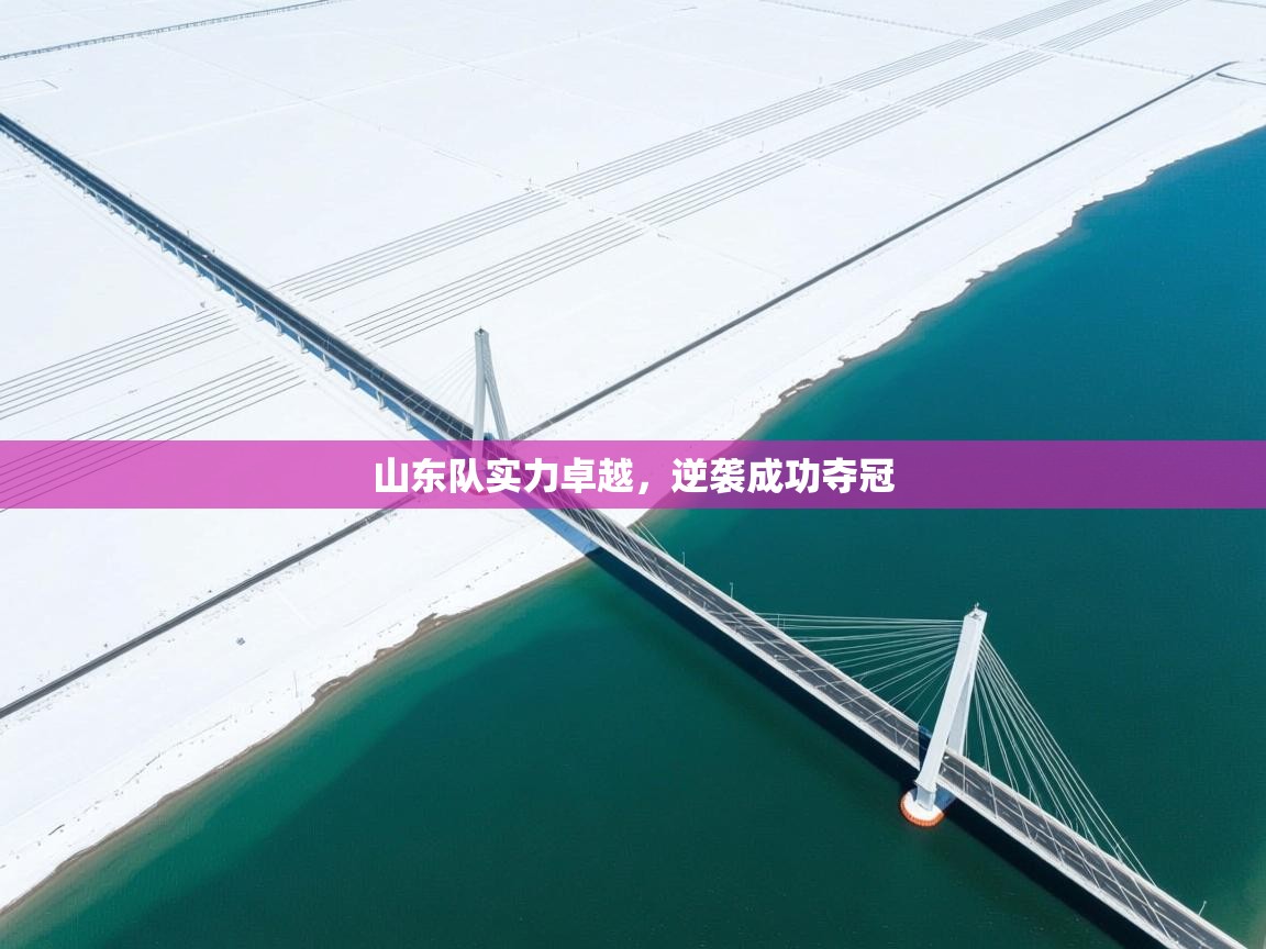 开云·体育app中国官方网站-山东队实力卓越，逆袭成功夺冠  第4张