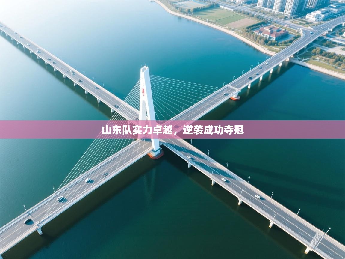 开云·体育app中国官方网站-山东队实力卓越，逆袭成功夺冠  第3张